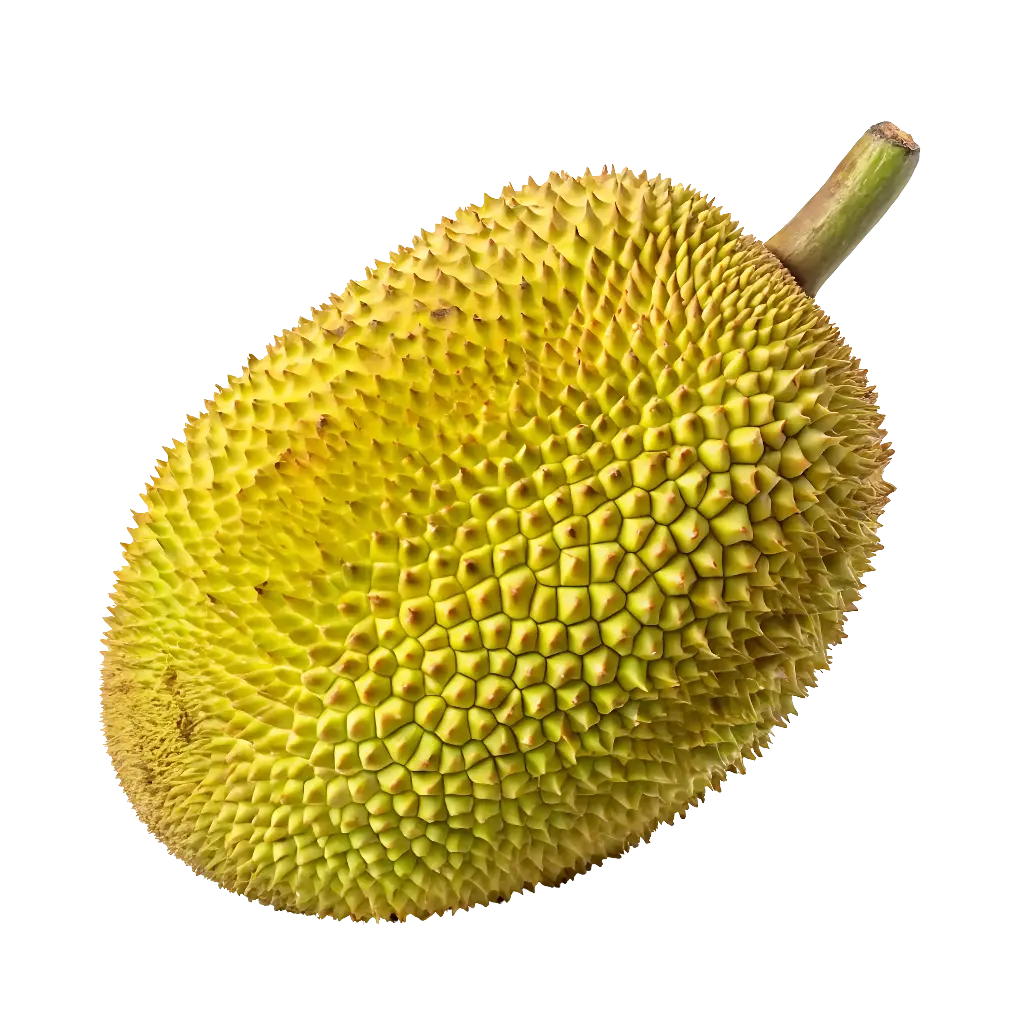 Jackfruit (Kathal)