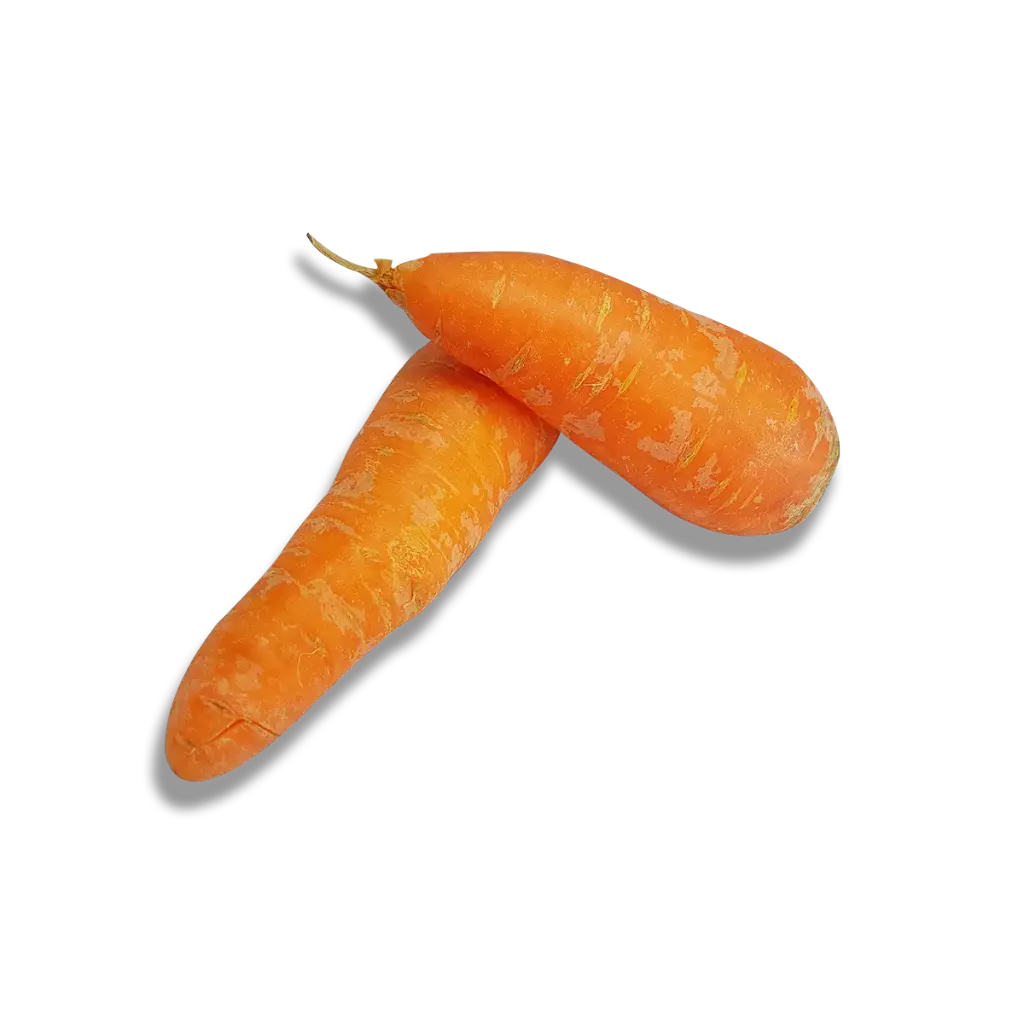 Carrot