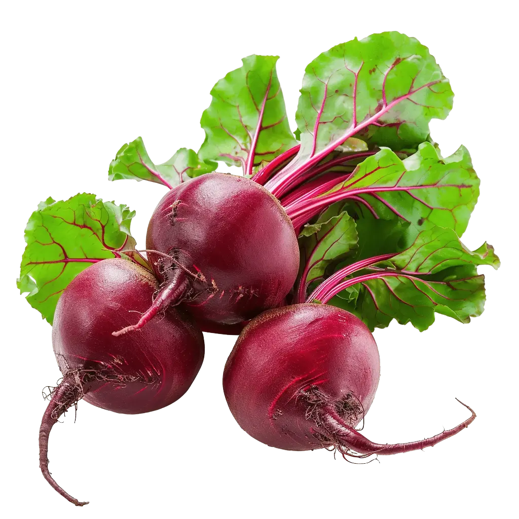 Beetroot (Chakundar)