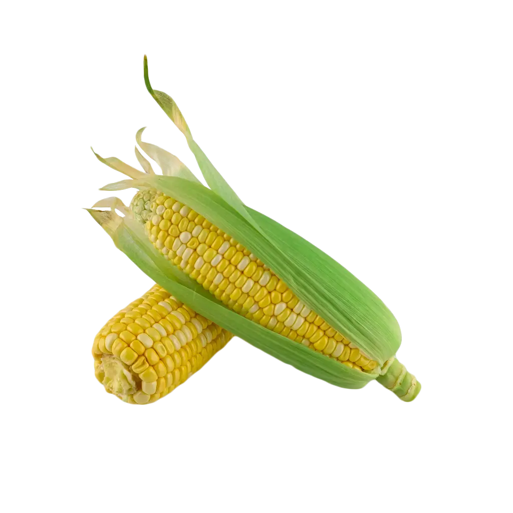 Corn