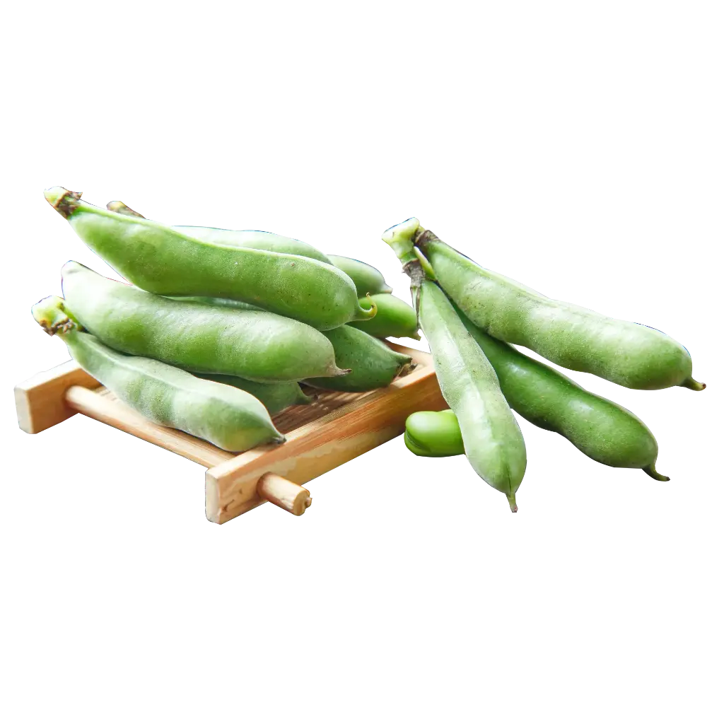 Broad Beans (Sem Phali)
