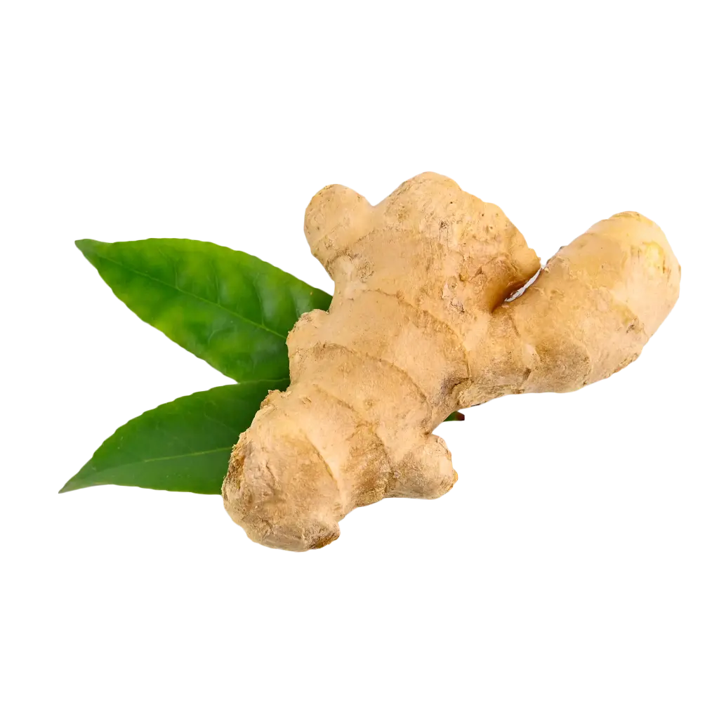 Ginger (Adrak)