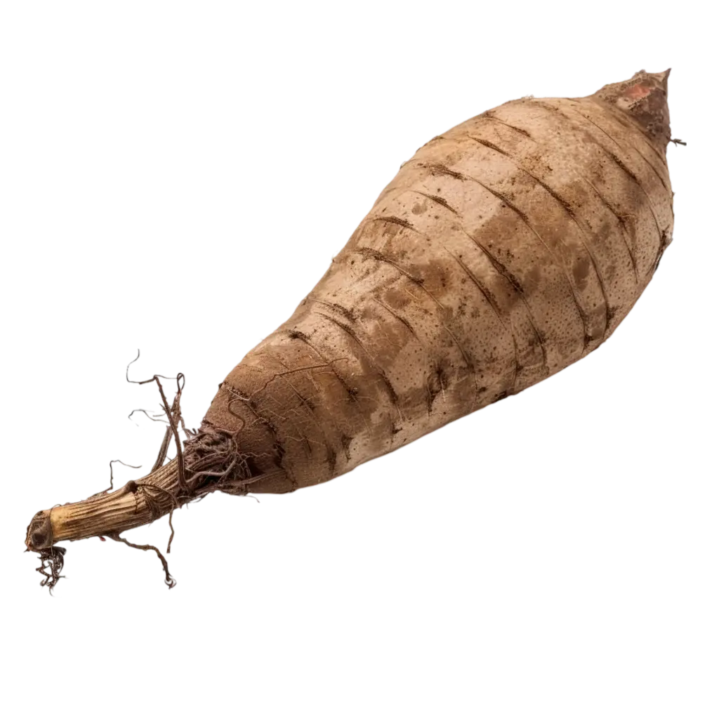 Taro Root (Arbi)