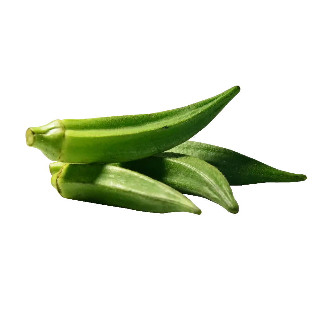 Okra (Bhindi or Lady's Finger)