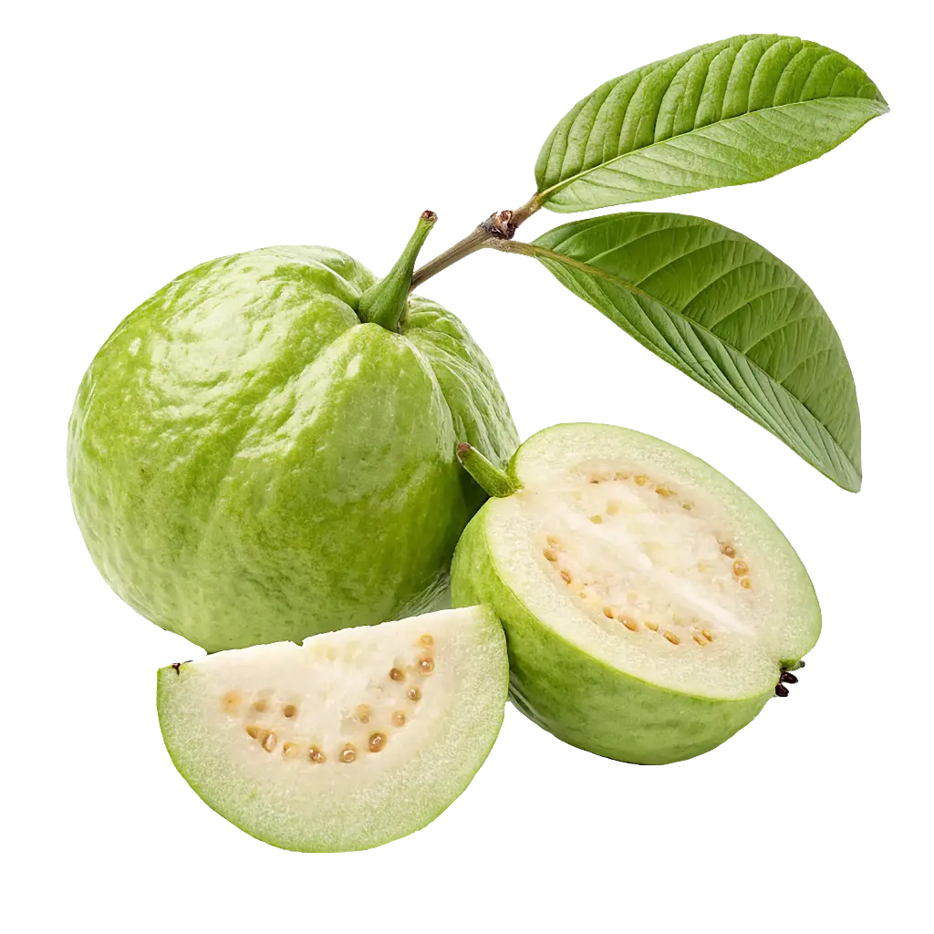 Guava (Amrood)