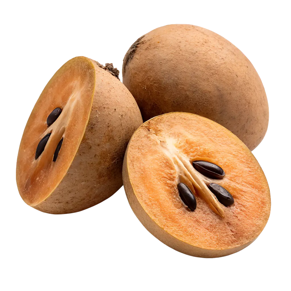 Sapodilla (Chikoo)