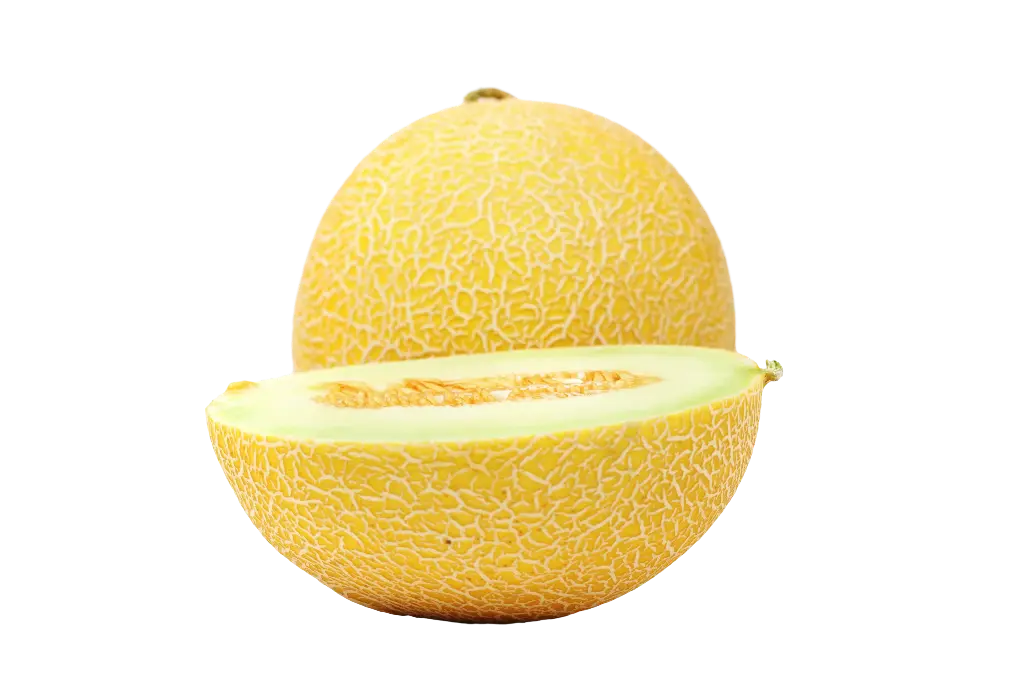 Muskmelon (Kharbooja)