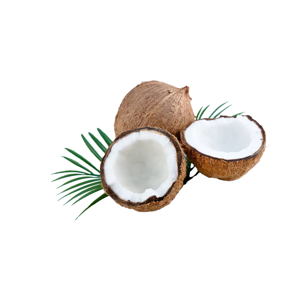 Coconut (Nariyal)