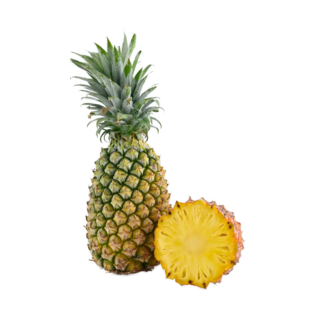 Pineapple (Ananas)