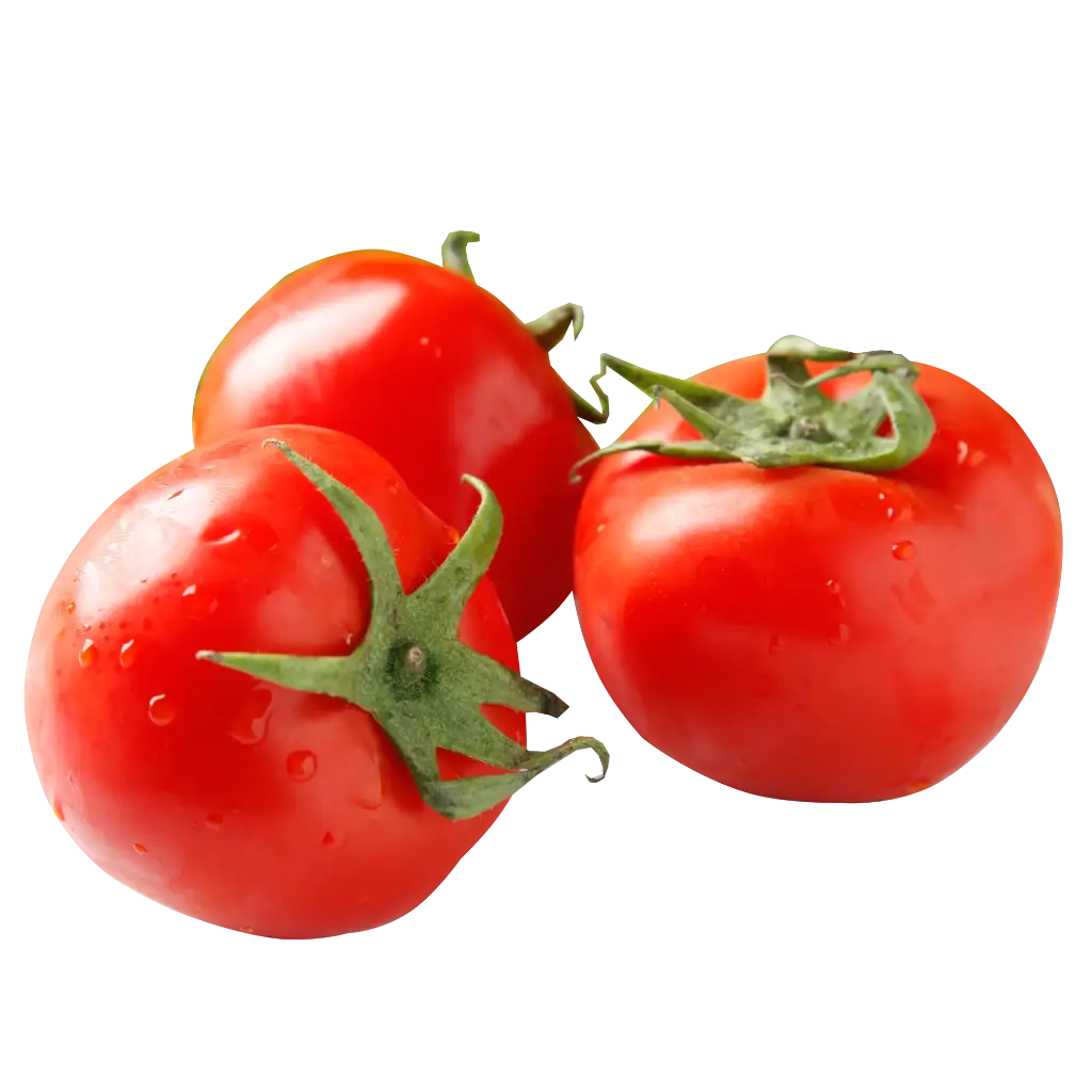 Tomato