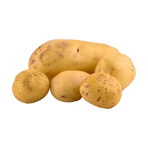 Potato
