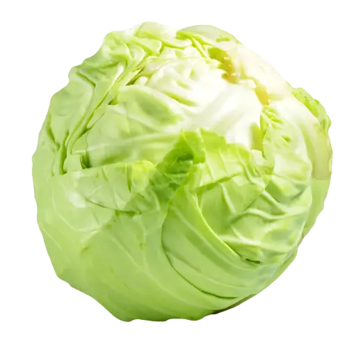 Cabbage (Patta Gobhi)
