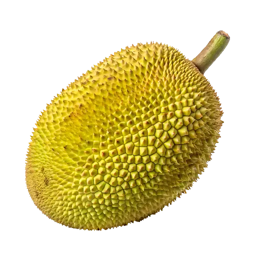 Jackfruit (Kathal)