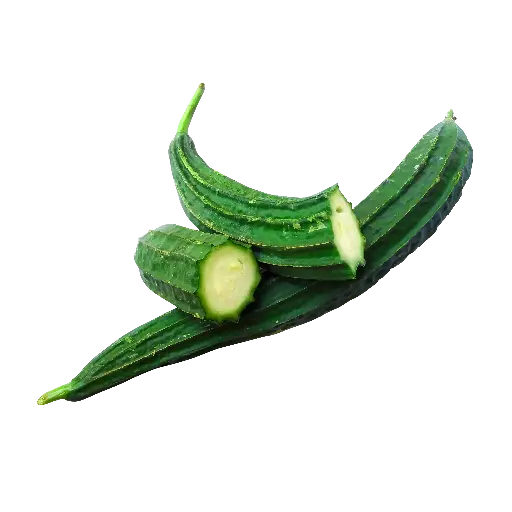 Ridge Gourd (Tori)