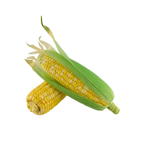 Corn