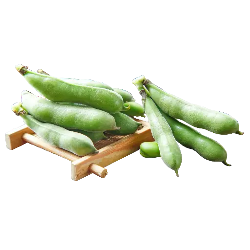 Broad Beans (Sem Phali)