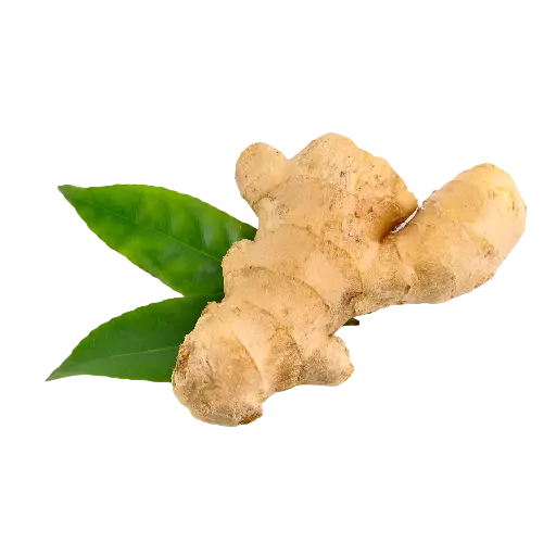 Ginger (Adrak)