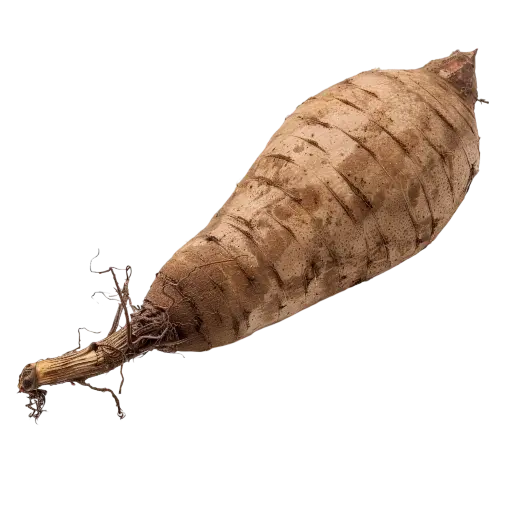 Taro Root (Arbi)