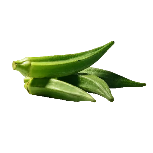 Okra (Bhindi or Lady's Finger)