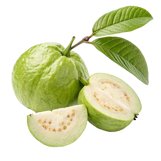 Guava (Amrood)