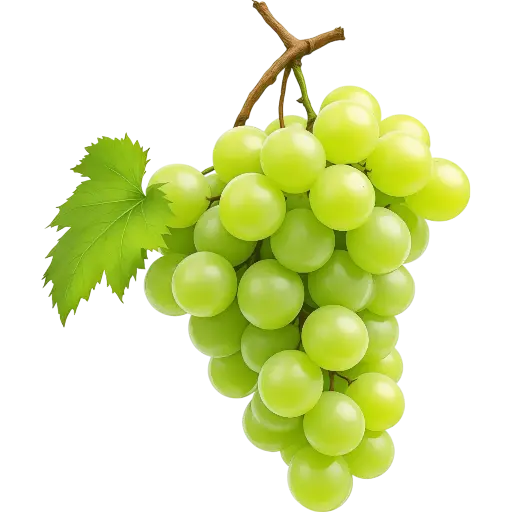 Green Grapes (Hara Angoor)