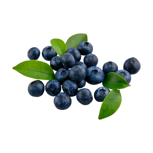 Blueberry