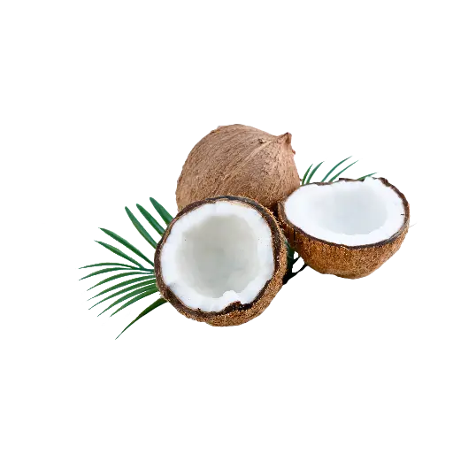 Coconut (Nariyal)