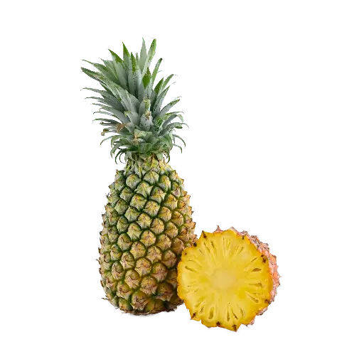 Pineapple (Ananas)
