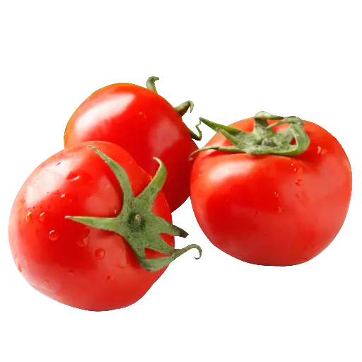 Tomato